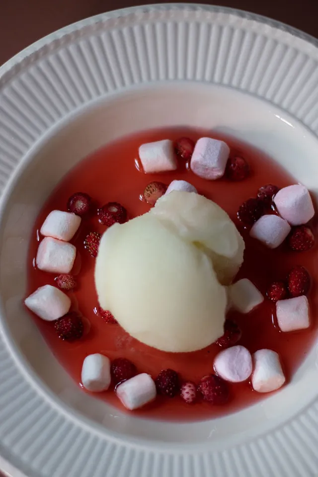 Limesorbet med rabarbrasirup