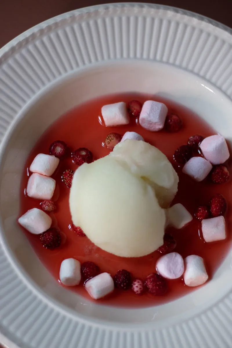 Limesorbet med rabarbrasirup